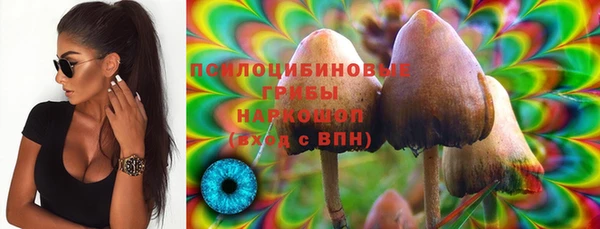 COCAINE Бородино