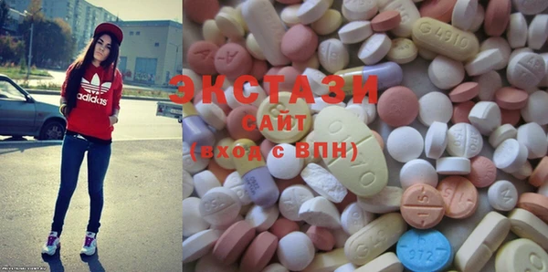 ECSTASY Богородицк