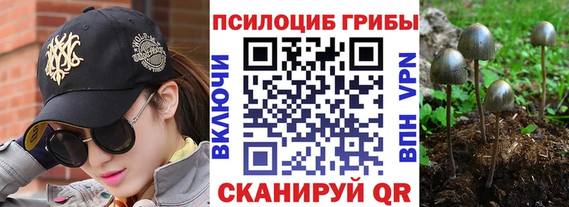 OMG ТОР  площадка как зайти  Псилоцибиновые грибы Psilocybine cubensis  Духовщина 